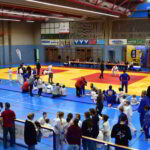 Erfolgreiches Finale bei Shinzen Shiai: Judofest in Stockerau mit Gemeinschaft und Trainingsmotivation